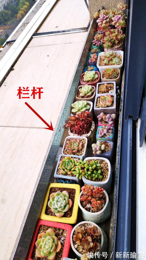 防护栏|房子买在腰线层,阳台外面腰线宽50公分,比别的户型晒东西更方便