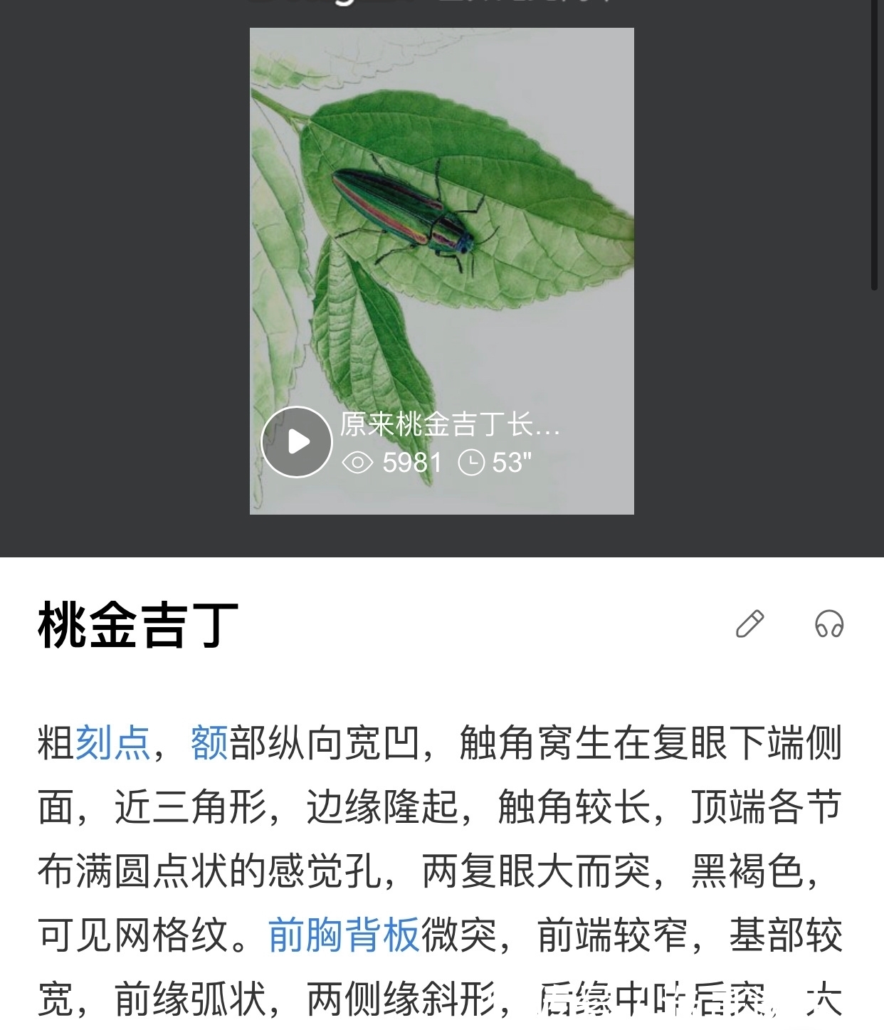 兴致|王一博：《天天向上》自然课堂，对绿色的昆虫，饶有兴致地害怕。