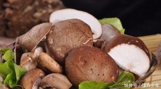 食物|高血压只能吃药?别傻了,常吃这几样食物,血压也能降下来