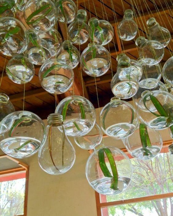 阳台|把灯泡拿去养花,挂在阳台上太好看了!真的太佩服邻居的脑洞