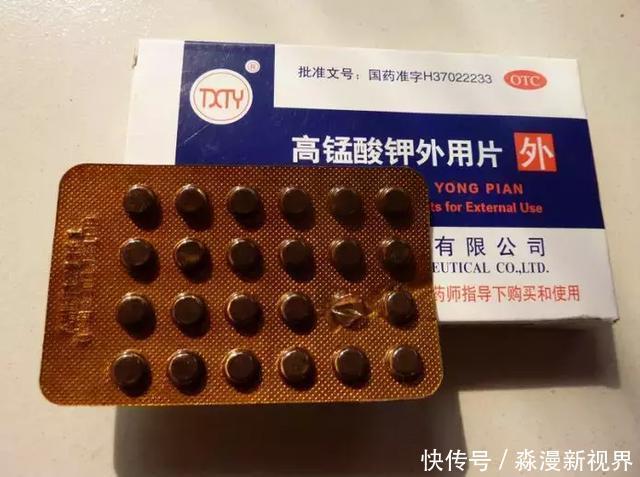 矿泉水瓶|扦插加个小药片,成活率翻番,新手也能做得好!