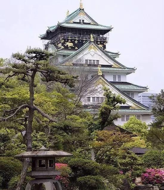 传来|太美了,世界照片今天终于传来,罕见至极,一睹为快