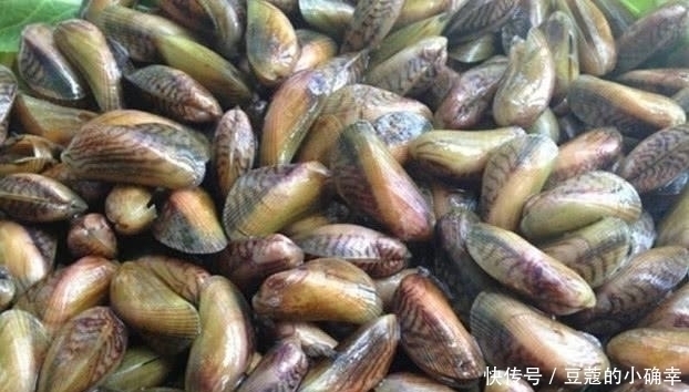 好吃|这种海鲜剥5斤才有1斤肉,比螃蟹还好吃,只有潮汕人才懂的美味