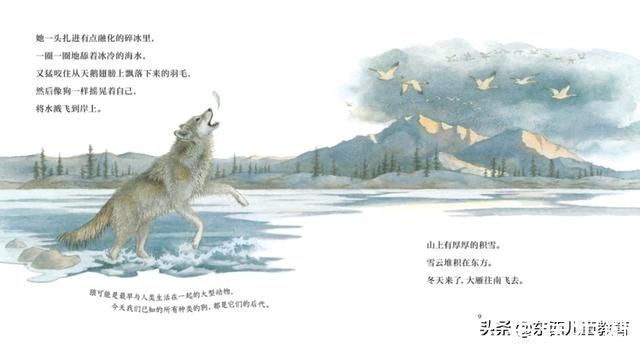 自然故事|七年陪读,我来说说:孩子什么年龄,该读什么书