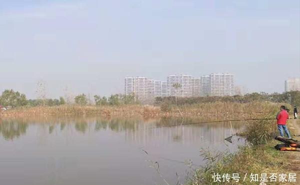 冬季钓鱼，天气越冷越容易钓到大鲫鱼，封竿太早容易“吃亏”