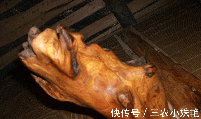 农村|农村一种昂贵的树, 与紫檀齐名, 过去只有皇室才能用