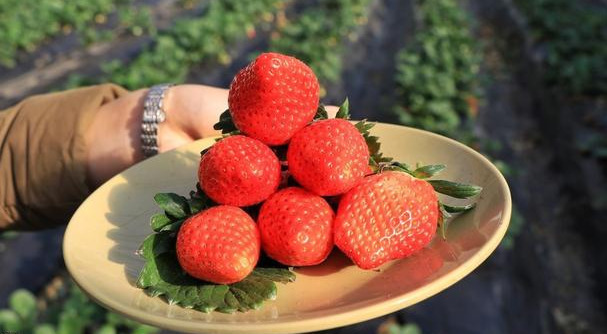 排毒抗衰|女性想要肌肤好,多吃3种食物,排毒抗衰,美容养颜,肌肤更水嫩