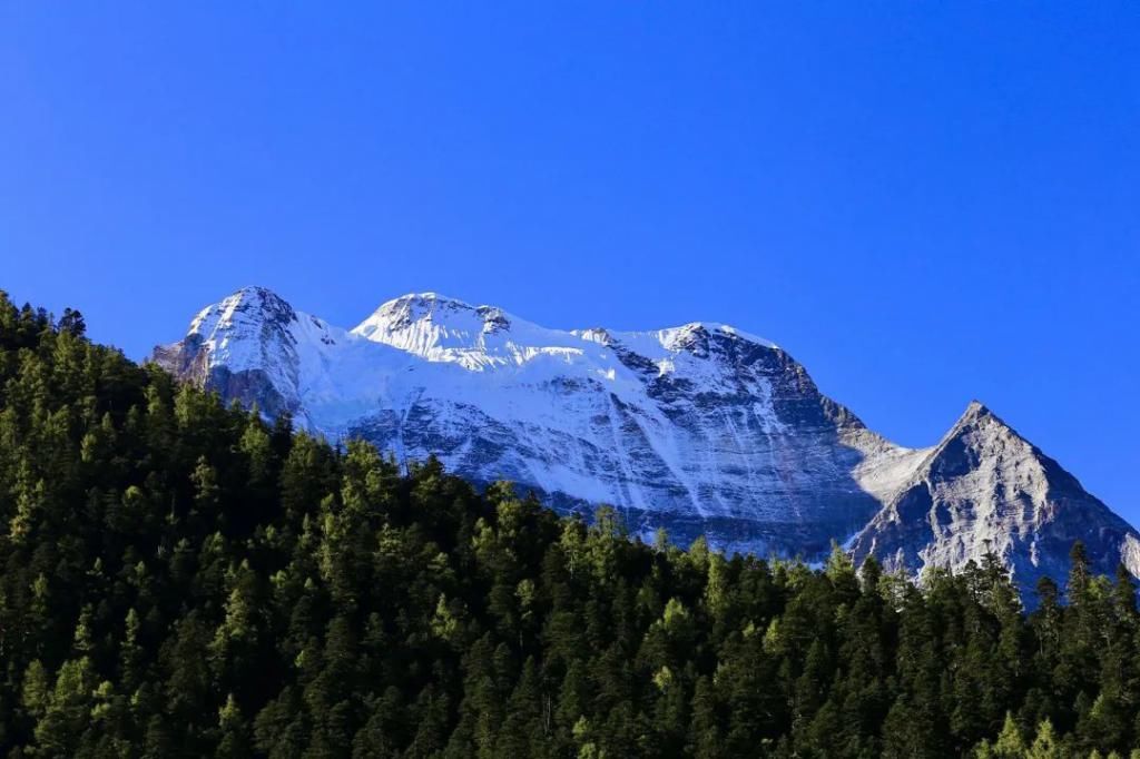 高原|高原有毒，你会上瘾！勇闯稻城亚丁，人生第一次看到雪山......