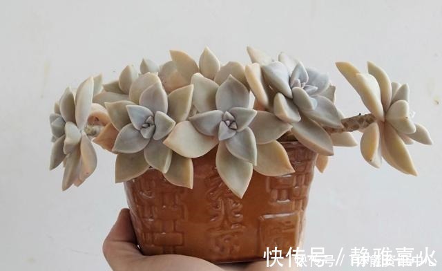 切割机|花盆买不起,自己动手做,好看又实用!花盆买不起,自己动手做,好看又实用!