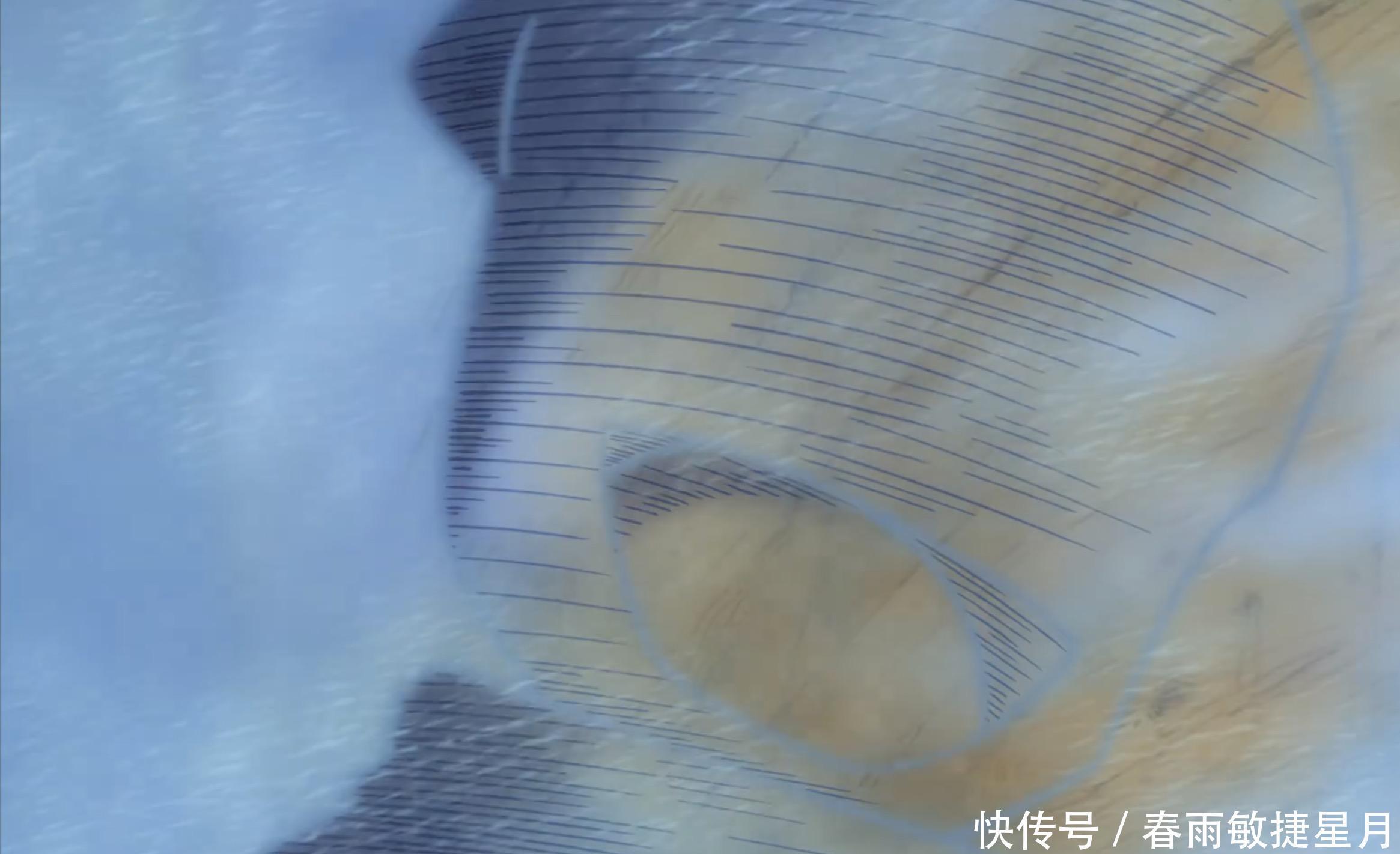 梅利号|海贼王梅利号被烧意义在哪不止是船员的蜕变,也是它的救赎!