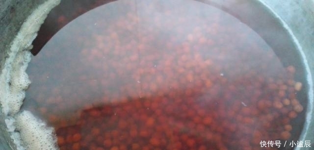 薏米|天然“黃體酮”被發現，女人常喝，淡斑抗衰，40歲仍是少女臉！