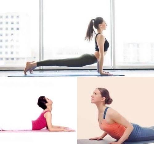 上犬式和眼镜蛇式分不清 外观 要点 功效都不同 千万别练错了 快资讯 上犬式和眼镜蛇式分不清 外观 要点 功效都不同 千万别练错了 快资讯