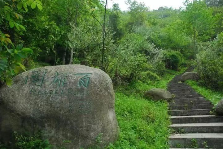 探秘幽深的历史隧道，重现风雨砥砺的传奇——阴平古道