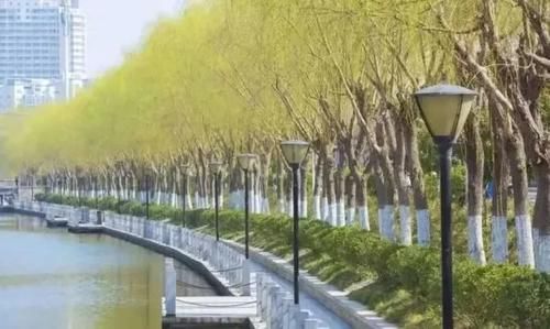 亳州人初春的快乐，你根本想不到！