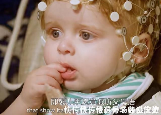 早教|婴儿走向独立的四个阶段 不懂早教的父母会让孩子很吃亏