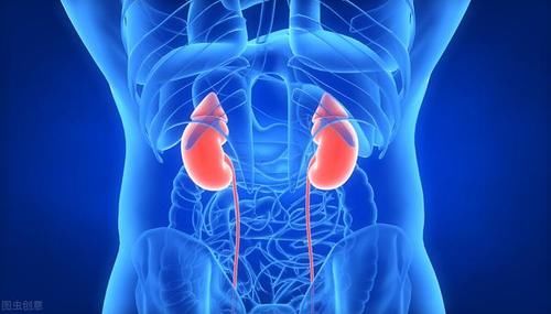  健脾|补肾健脾的中成药哪种好，7种补肾又补脾胃的中成药