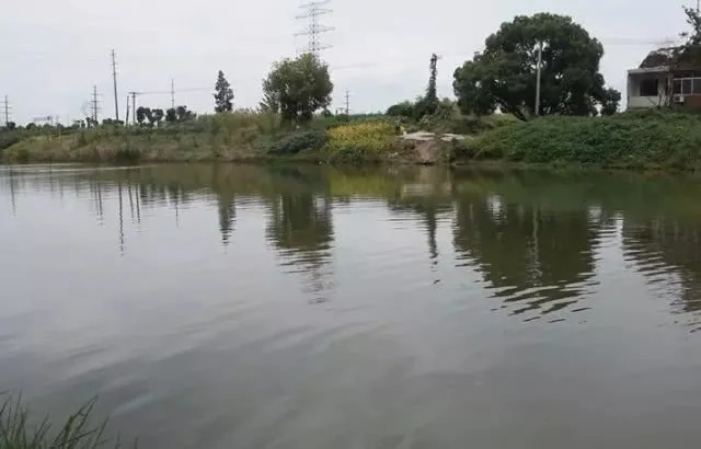 垂钓|钓鱼:垂钓大师教你精准找底,调漂本来就很简单!