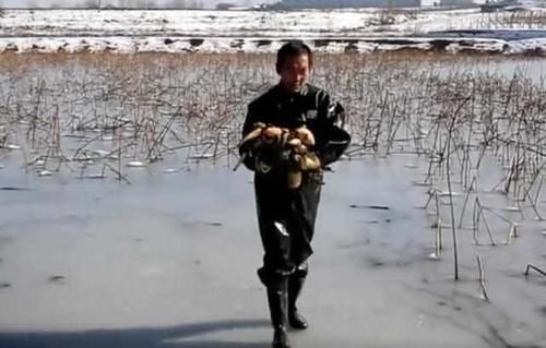 五旬大叔破冰挖藕，每天挖1400斤，每斤赚4毛钱，三天两头感冒