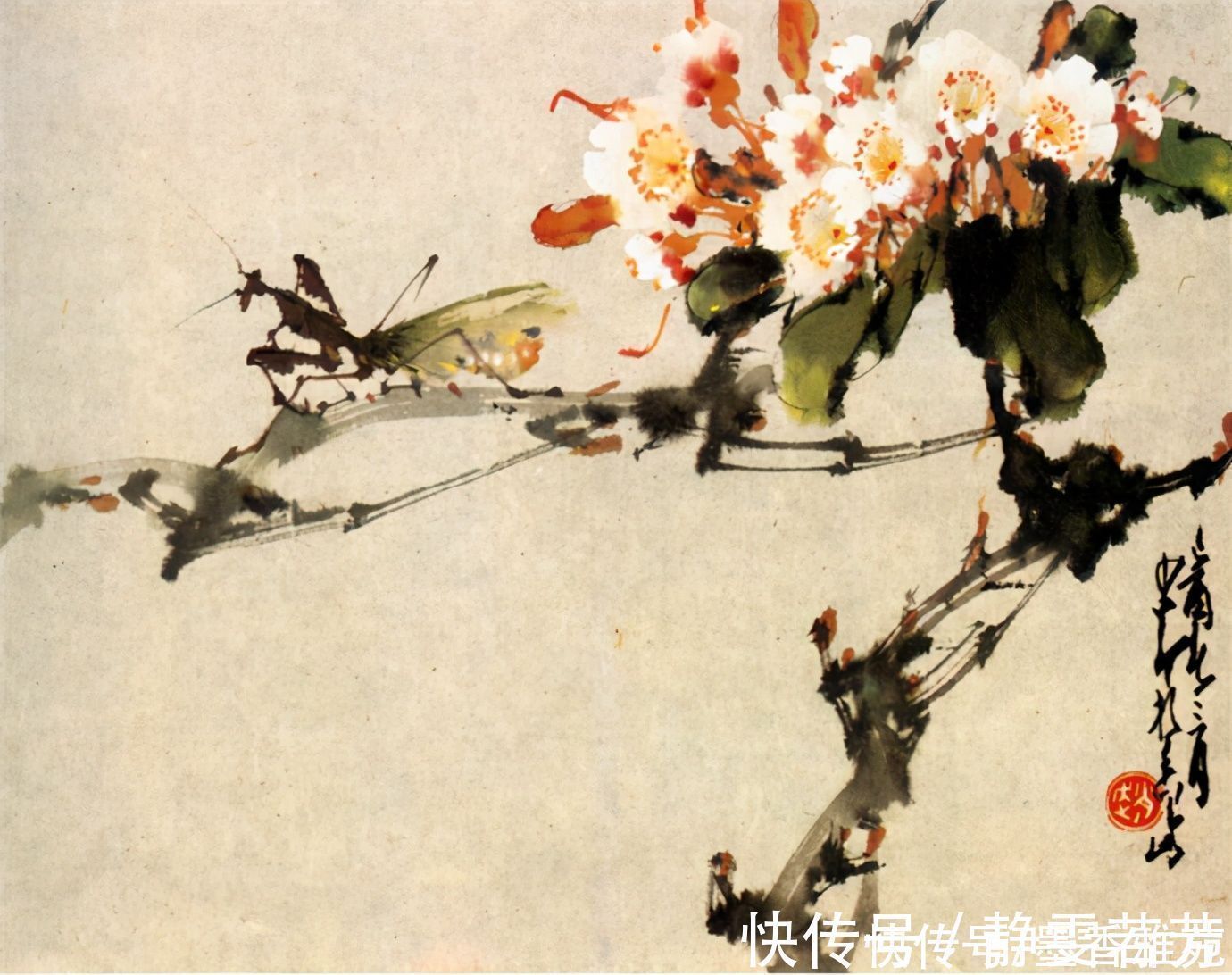 赵少昂!岭南画派大师赵少昂精品花鸟画作品欣赏