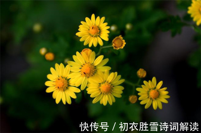 黄庭坚#明丽早秋山水宋词三首:谁道秋来烟景素,一番时态一番新