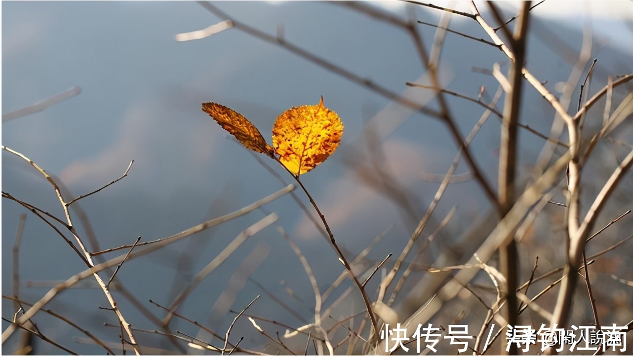 觅食|为何你在秋天钓不到鱼?别人却收获满满,原来是你忽视了天气因素
