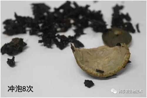 冲泡|你常喝的“小青柑”竟是“毒汤”?