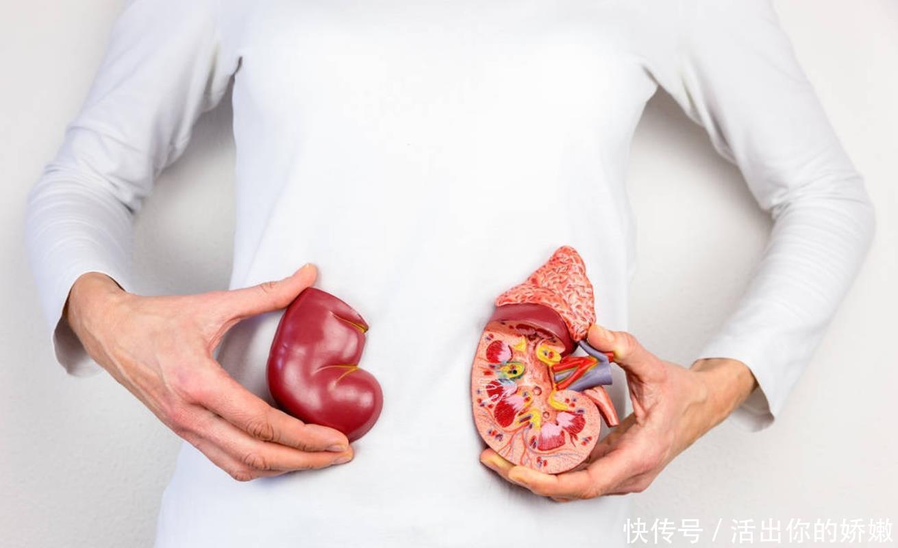 尿毒症|医生亲自总结尿毒症的形成过程,早点知道的人真幸运