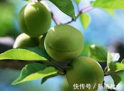 葡萄糖|吃什么水果对肝脏比较好这4种水果助养肝