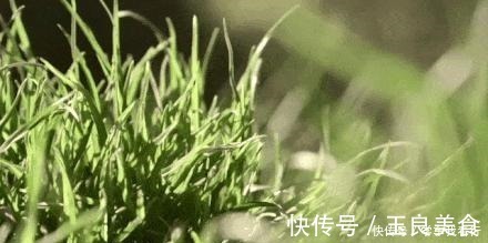 波波|亚洲人跟西方人的体质差异，从这个方面就能看出来