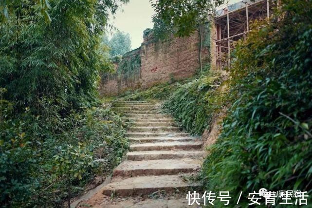 大堰塘|一家四口隐居深山中,三年无经济收入,他们凭什么生存