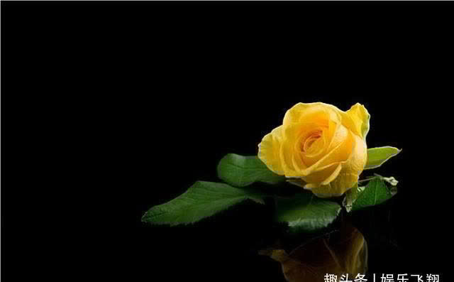 摩羯座|预计下周,缘分桃花结实累累,往后余生绝不辜负爱情的4大星座