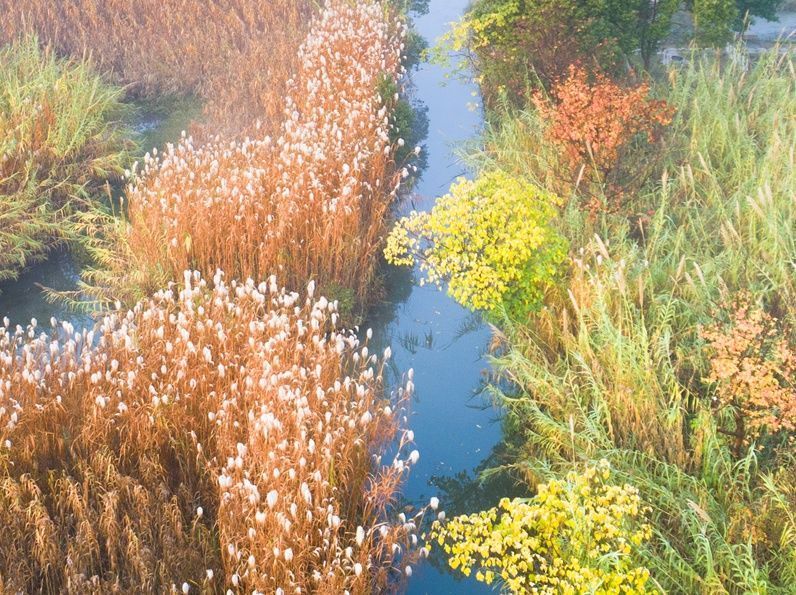 真想约一次“芦荡唱晚”常来常熟，流连撩人风景