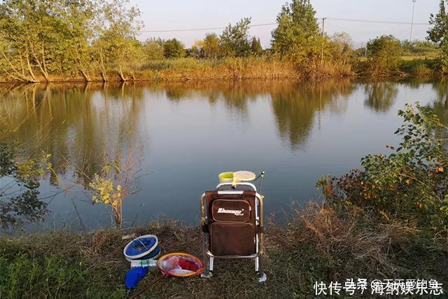 冬钓大鲫鱼,钓深还是钓浅?天冷要找这种地方,鲫鱼在这里扎堆