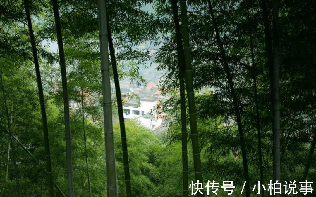 王维#王维的境界无人能及,晚年写下的这首五绝,一字一句超凡脱俗!