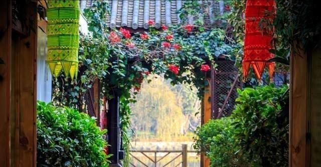 养花高手不买一楼房子,庭院生活,一个阳台就能实现,羡慕