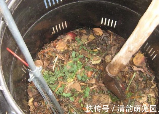 养花需要酸性土?这么一处理,好似变戏法,马上就有了