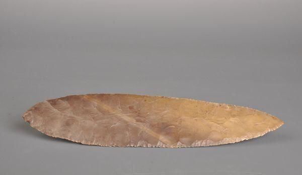 石片|学生意外捡到一块石片,专家花10块买走,如今为何成为一级国宝