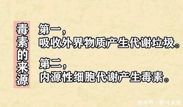 元气|大白话说中医第一百一十八期体寒肝虚要抓主因，先调便秘全身受益！