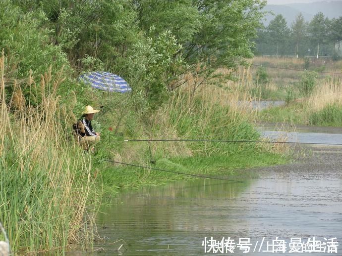 没想到鸡蛋也能用来做鱼饵,而且钓鱼效果那么好