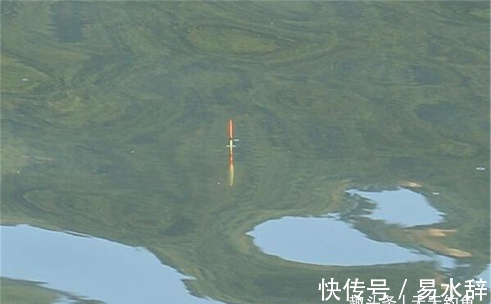 冬钓鲫鱼,浮漂满足这些特点,漂相会被放大数倍,是轻口鱼的克星