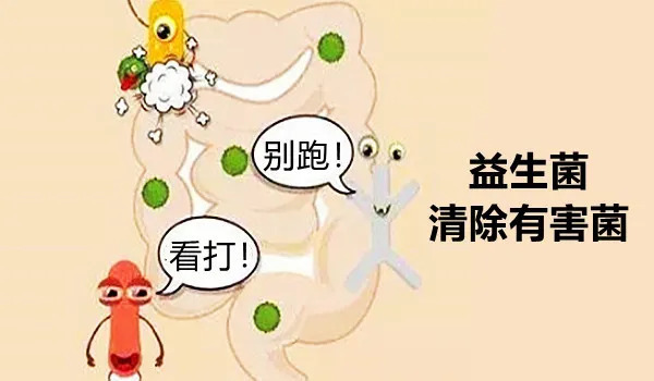 肠道菌群很重要,从小抓起更有效|?大白话说中医第一百六十三期| 小孩子