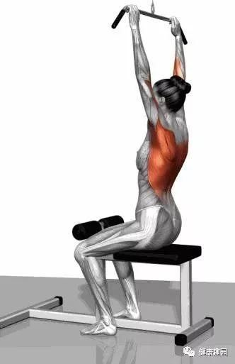 肱三头肌|肌肉群锻炼动作示意图，想练什么对号入座！