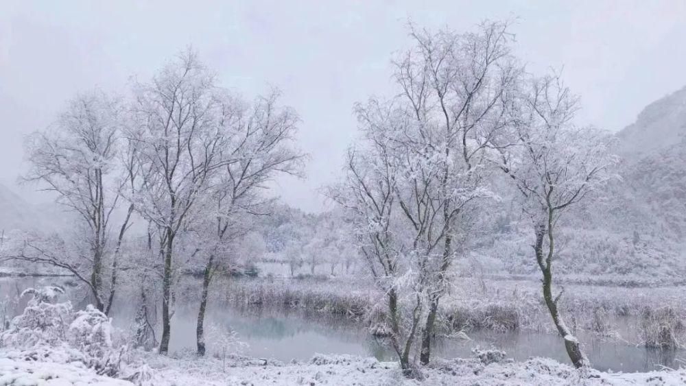 一大|德阳各地雪景美照大曝光！隔壁城市都羡慕哭了！一大波视频照片……