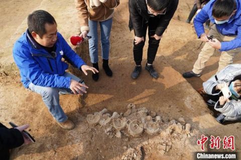  成组|探访中原龙山文化遗存：成组随葬器物有序排列 礼制鲜明