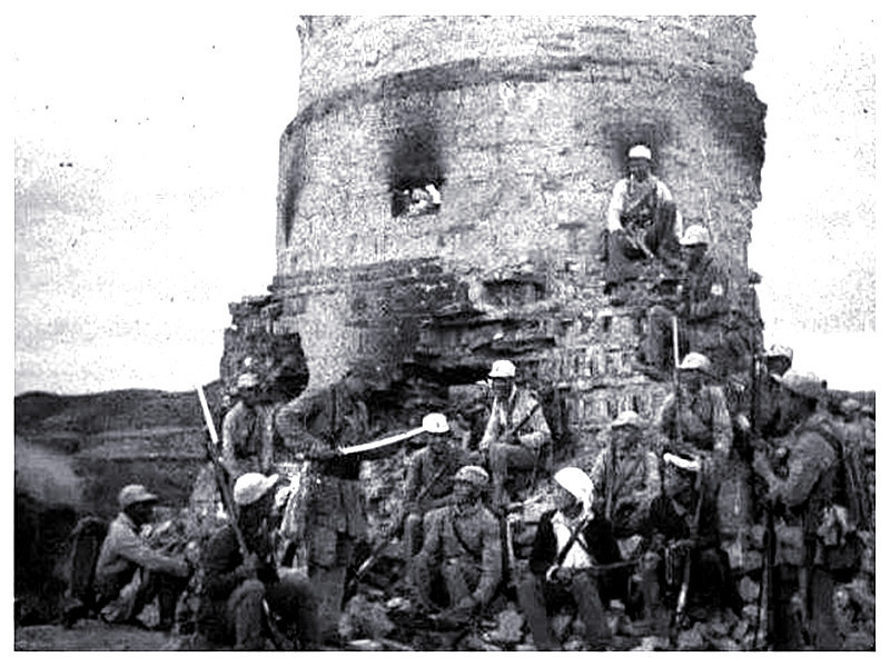 动物|日军躲进炮楼自认高明，八路军便找来3种动物助阵，鬼子顷刻覆灭