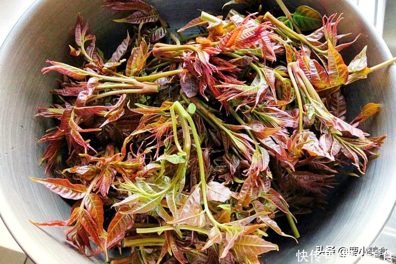 仲春到，记得吃“早春6宝菜”，季节性强，早吃早尝鲜，鲜嫩营养