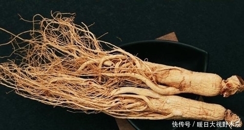 人参$抄检大观园后,曹雪芹为何要安排“缺二两人参”一节?不仅为暗示