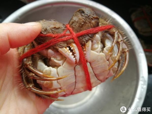 明日重阳，不管多忙，记得给家人吃这5种食物，营养健康寓意好