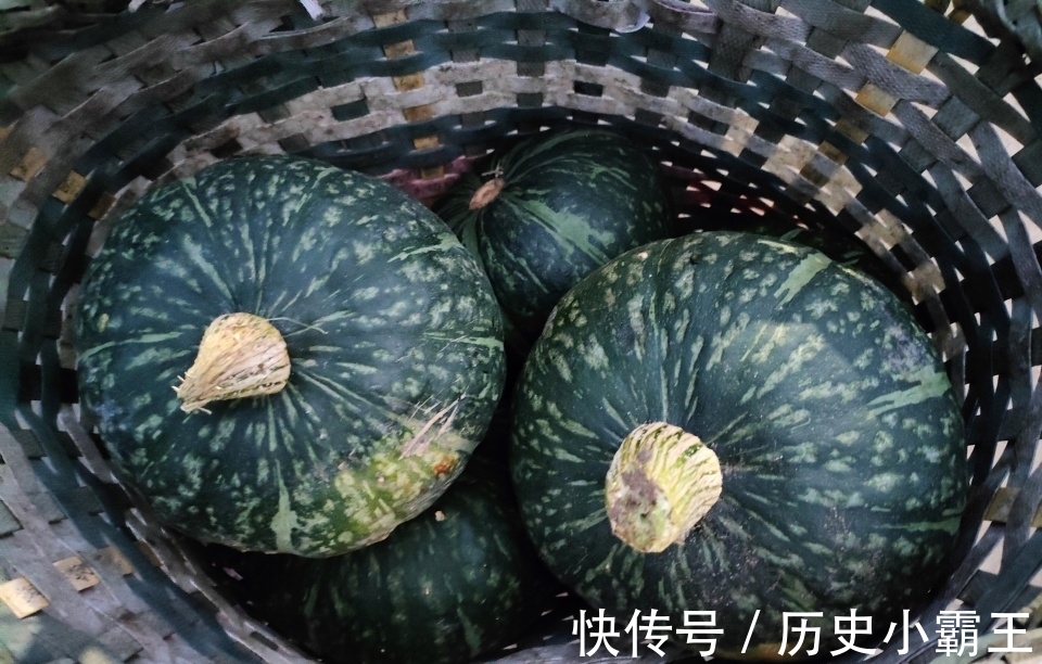 朋友|内蒙归来，后备箱塞满，光卸车就1小时，朋友：也想娶个内蒙媳妇
