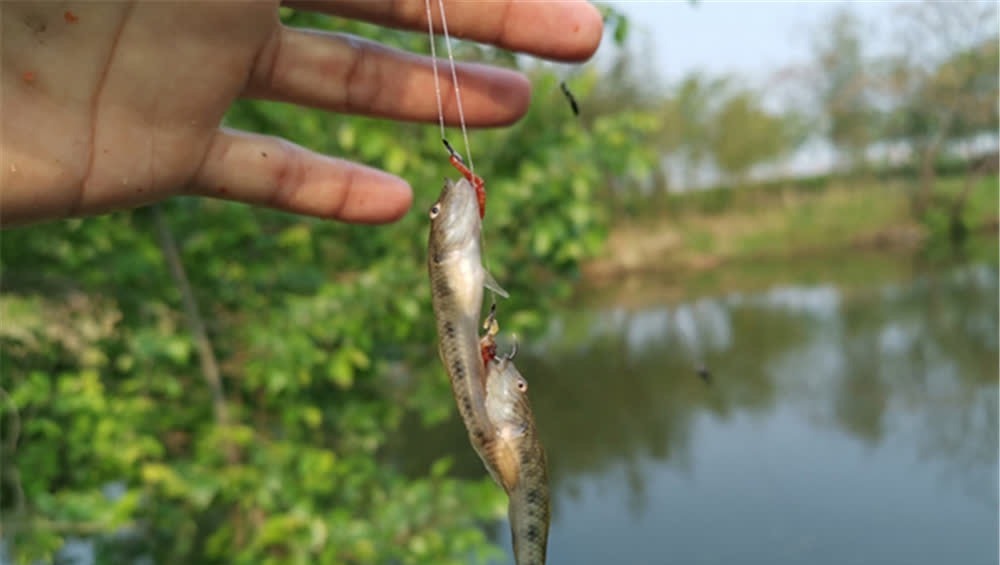 当代钓鱼人之“痛”:大包小包出门,两手空空而回,心是真的酸!